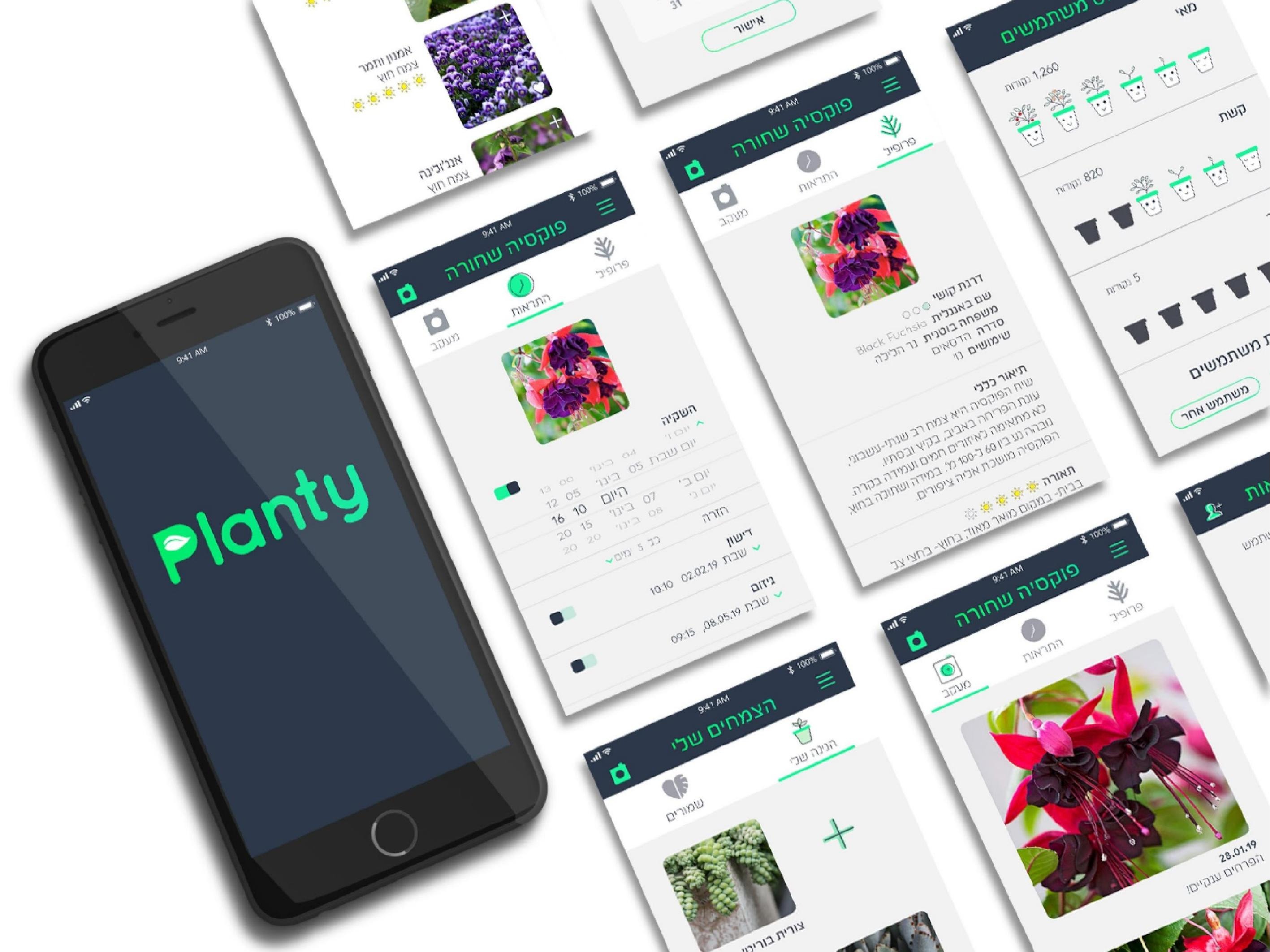 Planty